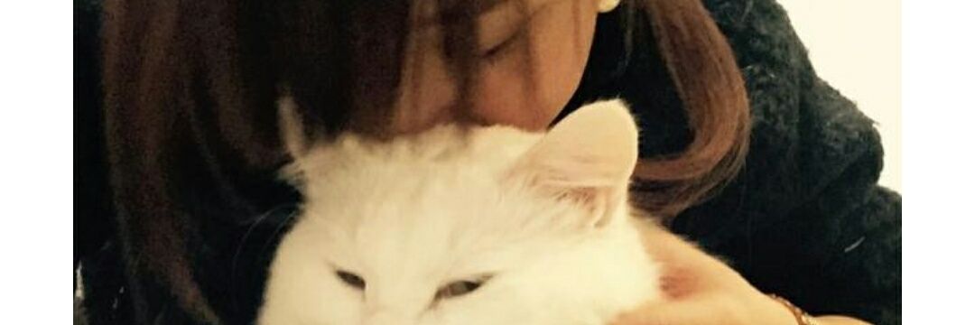nanase__again's profile banner image