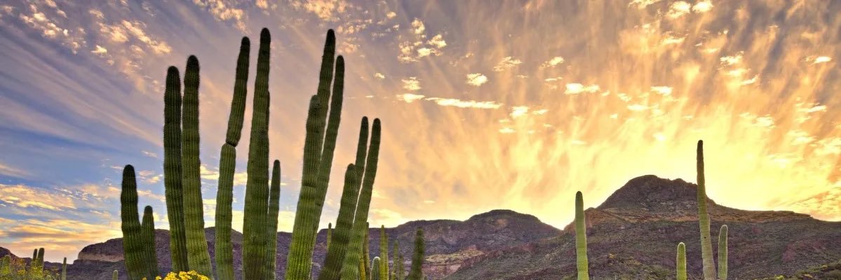 LMEMV's profile banner image