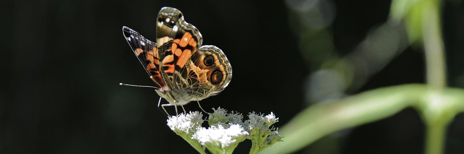 The Land Conservancy of New Jersey banner