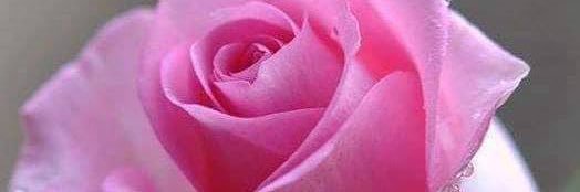 Anam4u's profile banner image