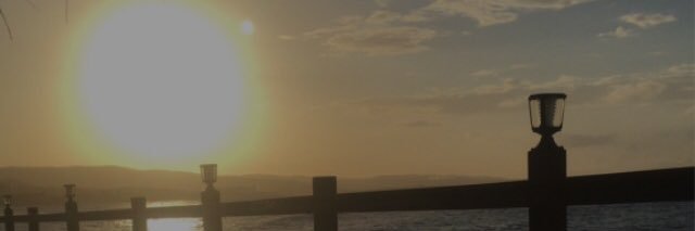 WildcardJay's profile banner image
