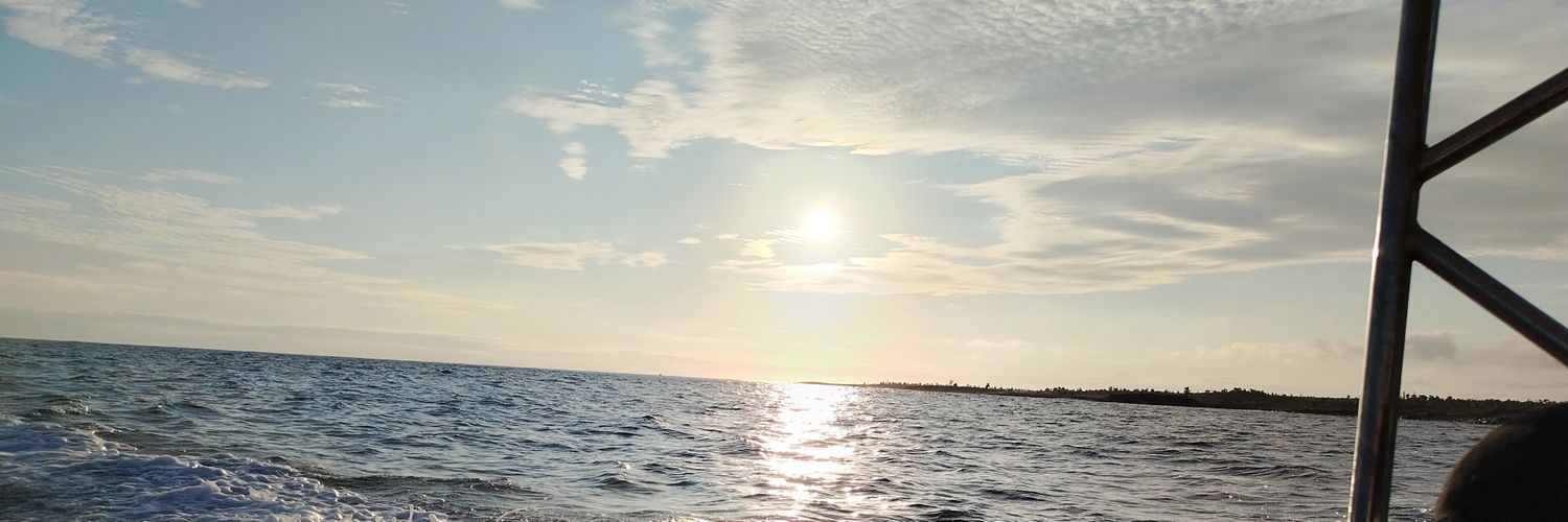 RodnyAndres's profile banner image