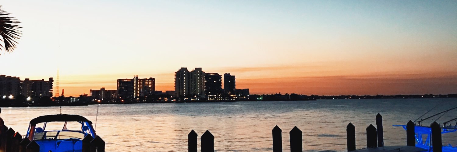 antosantee's profile banner image