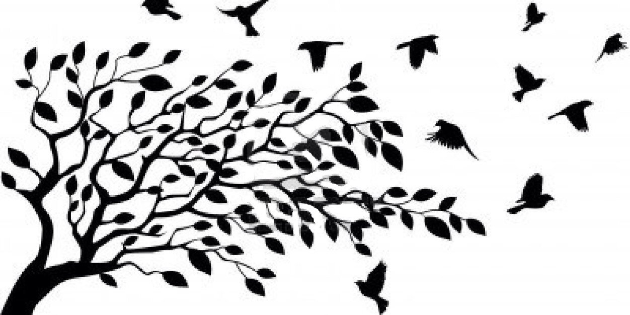 anferdica's profile banner image
