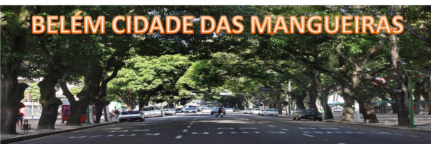 oswaldochaves's profile banner image