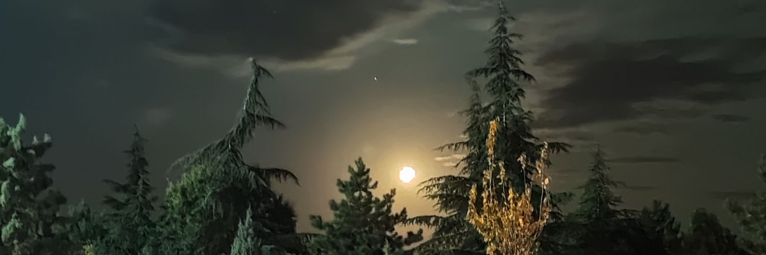 ademmokk's profile banner image