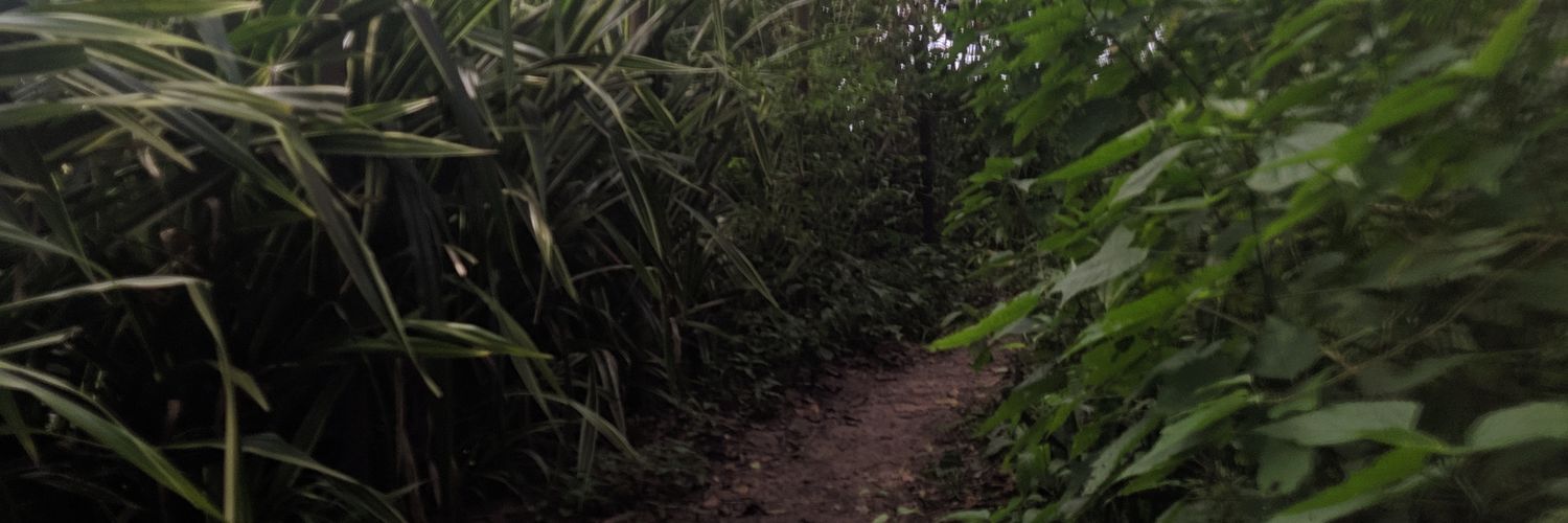 fymbb's profile banner image