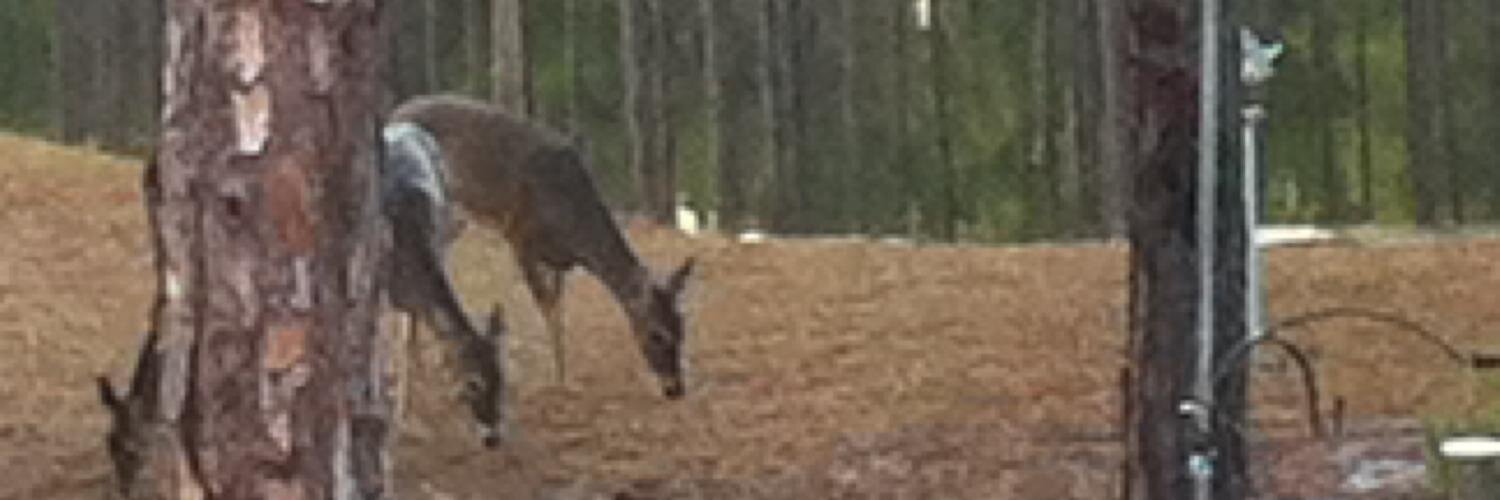 William D McFatter banner