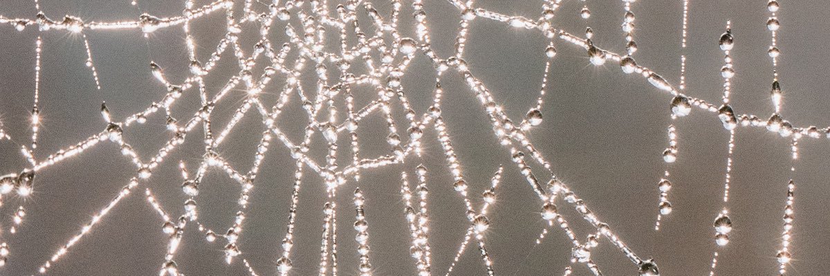chloabler's profile banner image