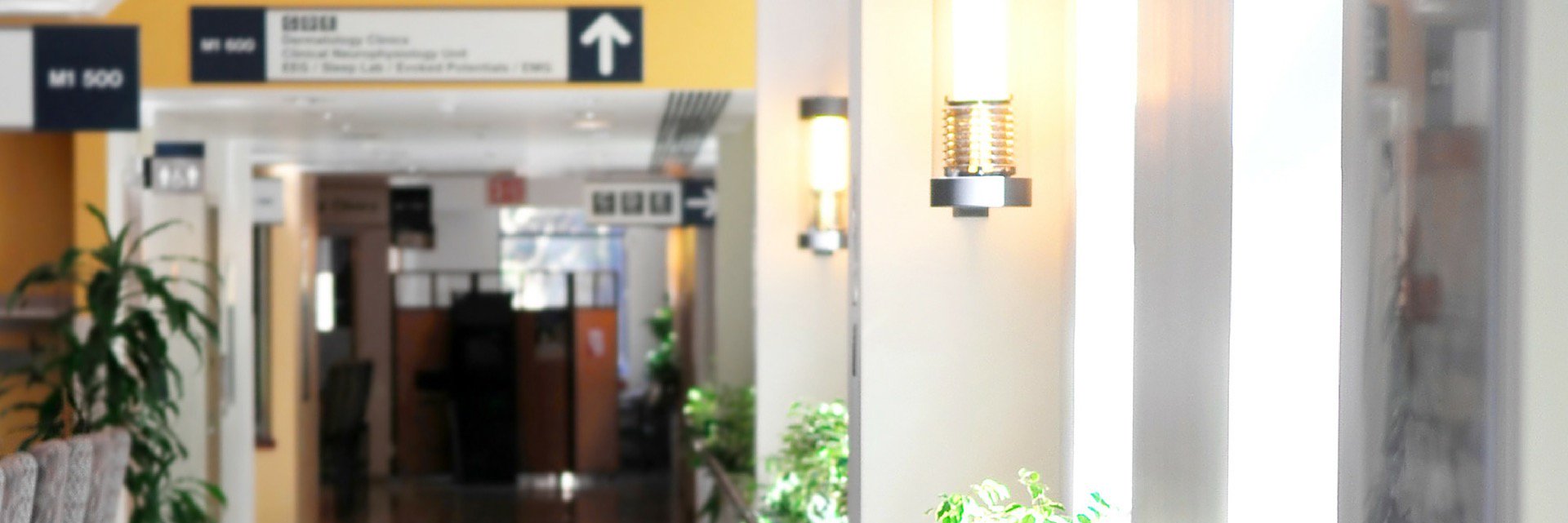 RexITHealth's profile banner image