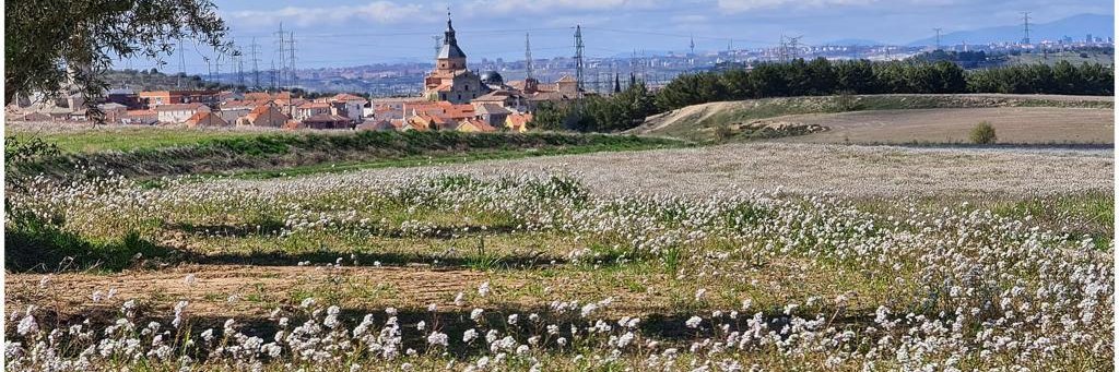Ayuntamiento Loeches banner