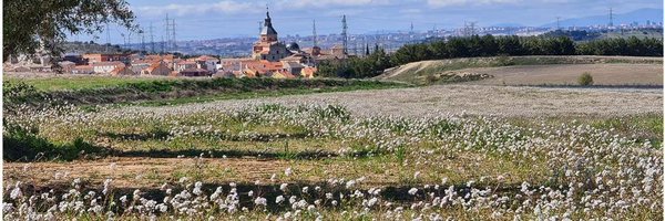 AytodeLoeches Profile Banner