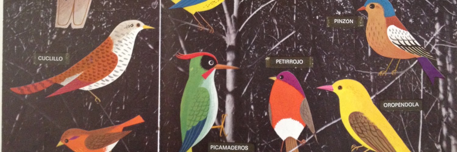 Andrea Farré Sahún banner