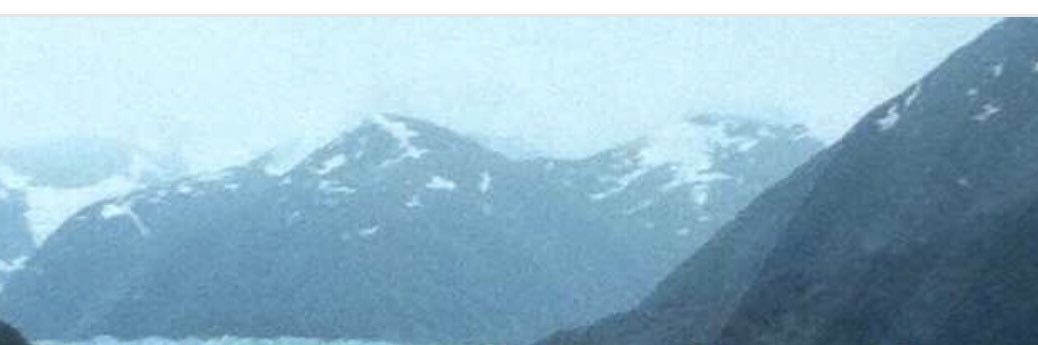 LadyOKStateFan banner