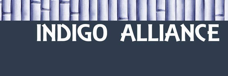 Indigo banner
