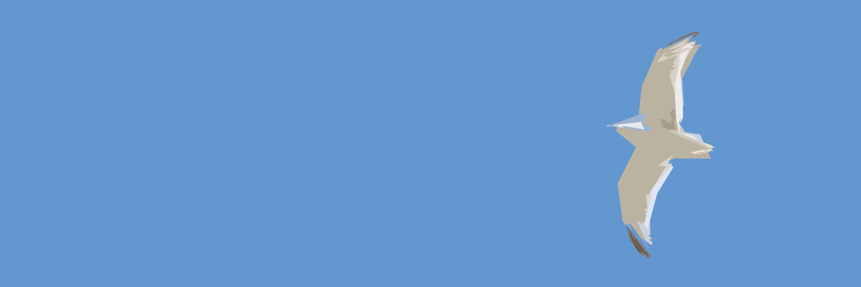 Hutton Design banner