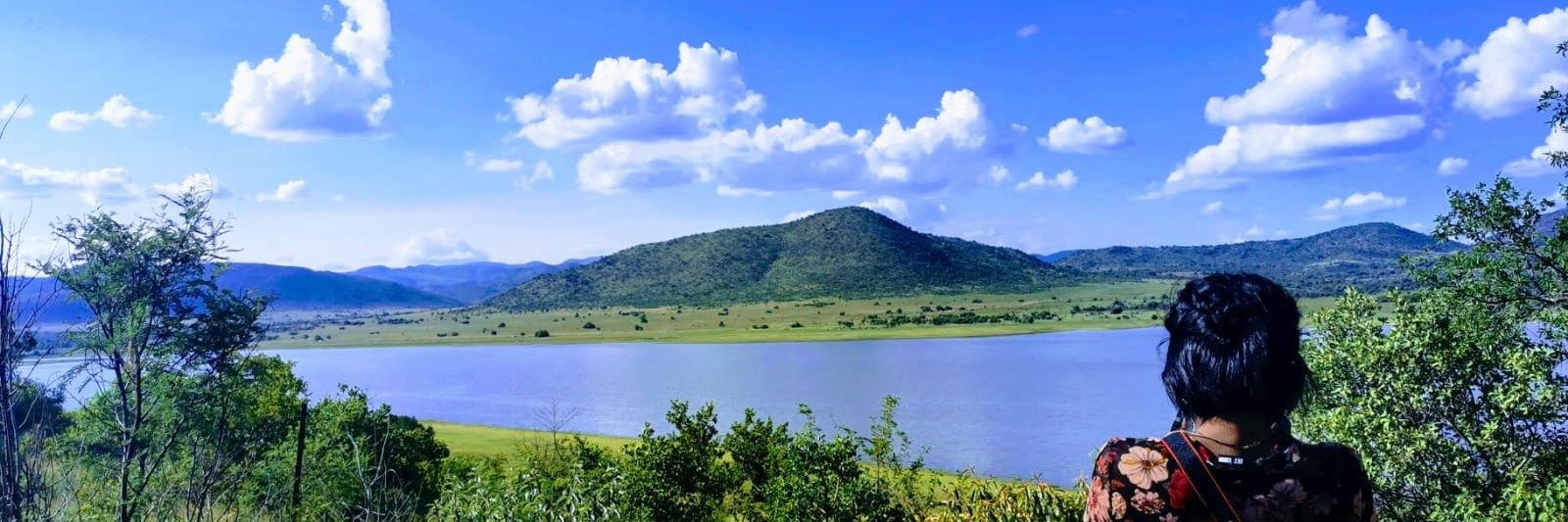 Rivonia Pillay Pr Eng banner