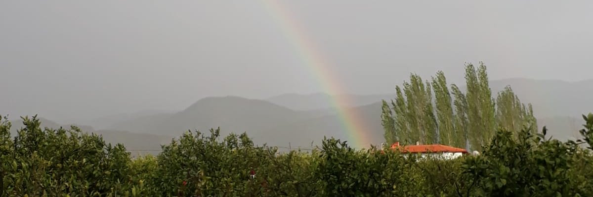 ilkay_atan's profile banner image