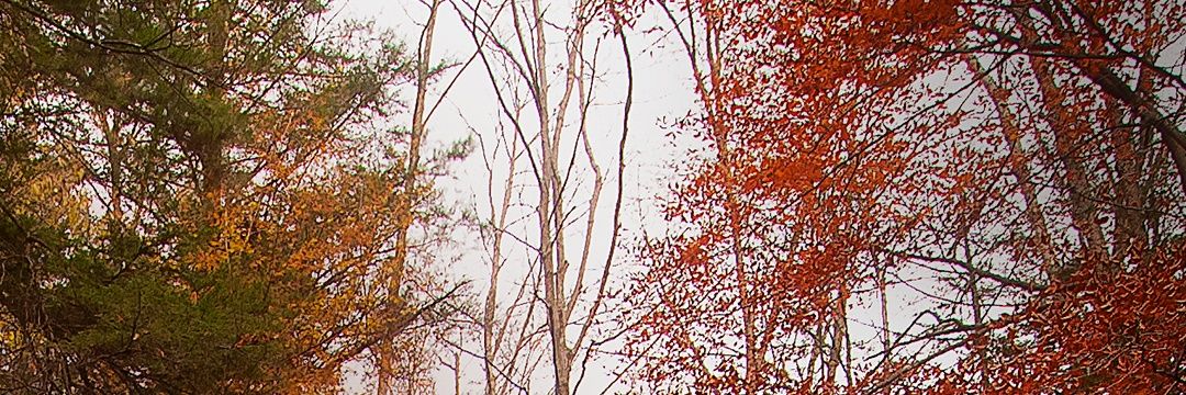 HendraPrazetya's profile banner image