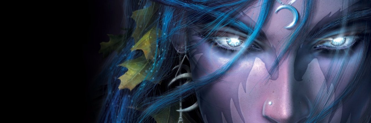 Ledneva banner