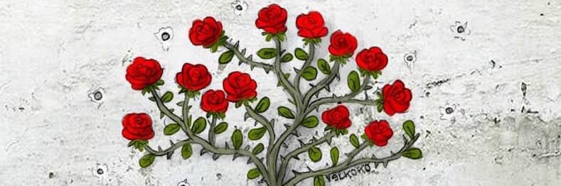 Trini Castelló/❤ banner