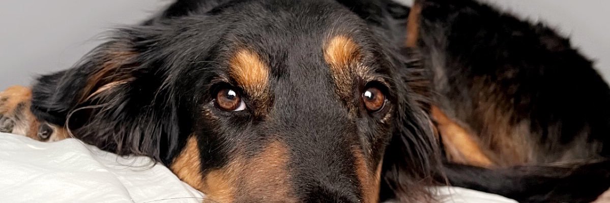 ericadavidson_'s profile banner image