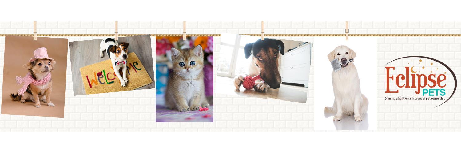 EclipsePets's profile banner image