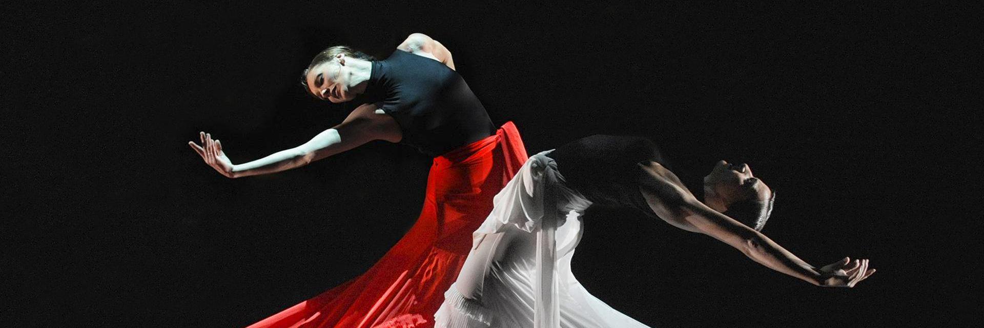 FlamencoGR's profile banner image