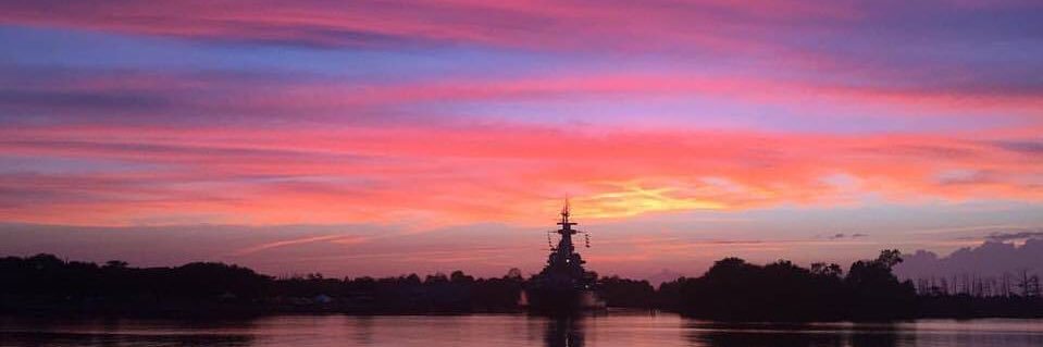 Allyson Lorick banner