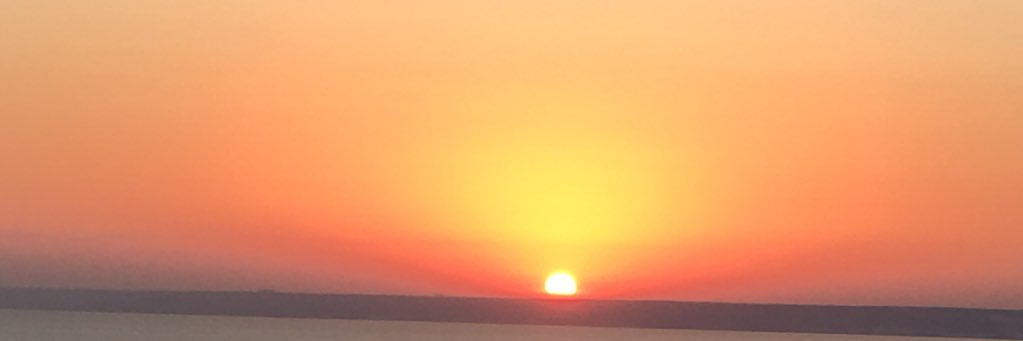 KalchevaD's profile banner image