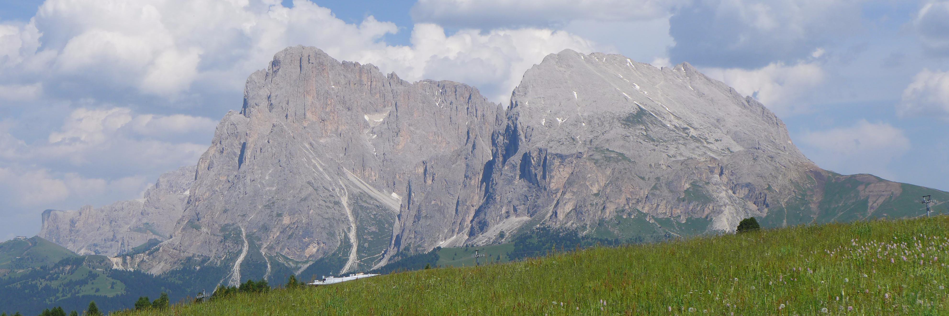 Domenico Siracusa banner