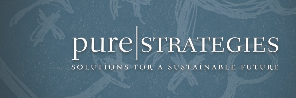 Pure Strategies banner