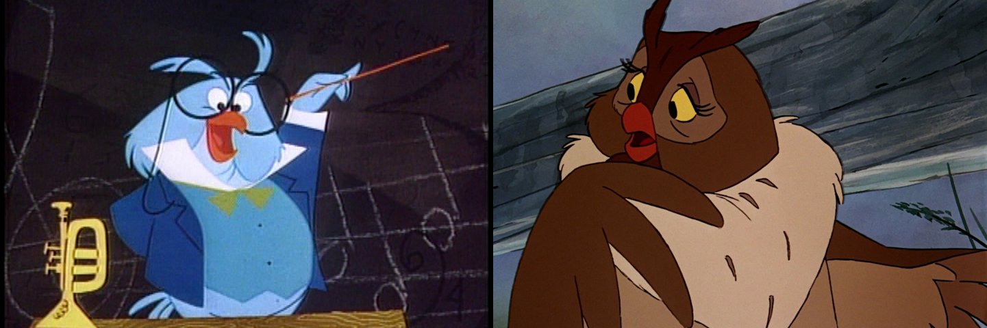 Lorcan the Tankin Dankin Professor Owl Fan banner