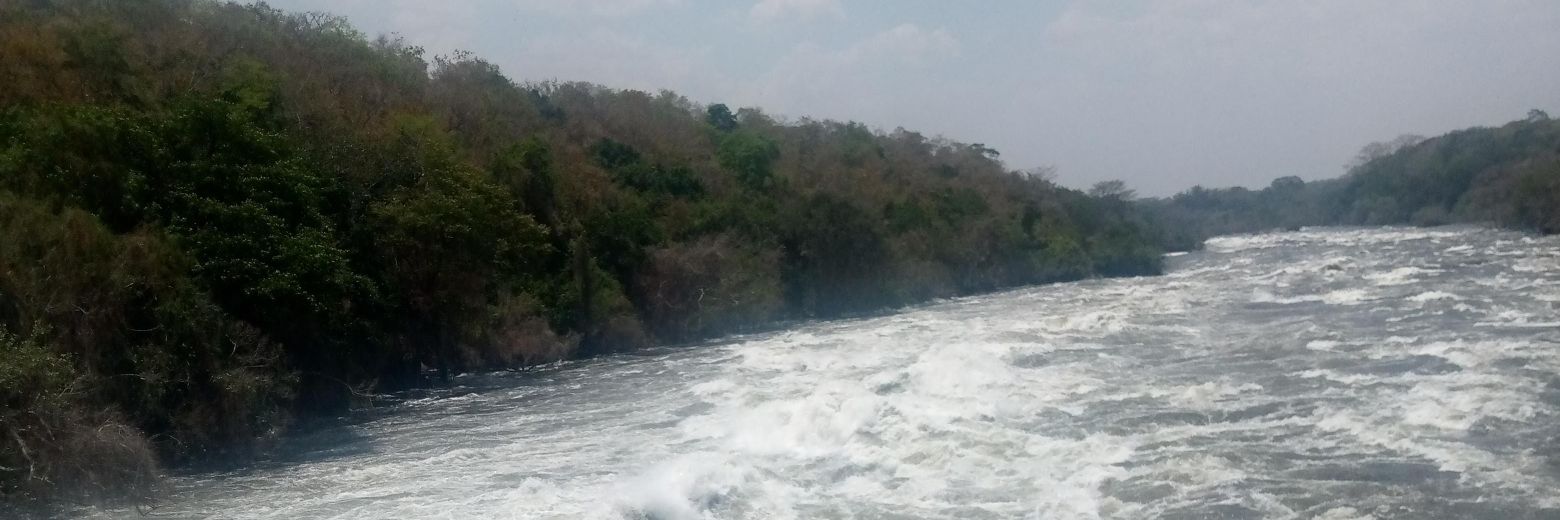 TrinityWanok's profile banner image