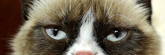 Johnsson 🇸🇪 🇩🇰 🇬🇱 🇺🇦 🇺🇳☮️ banner