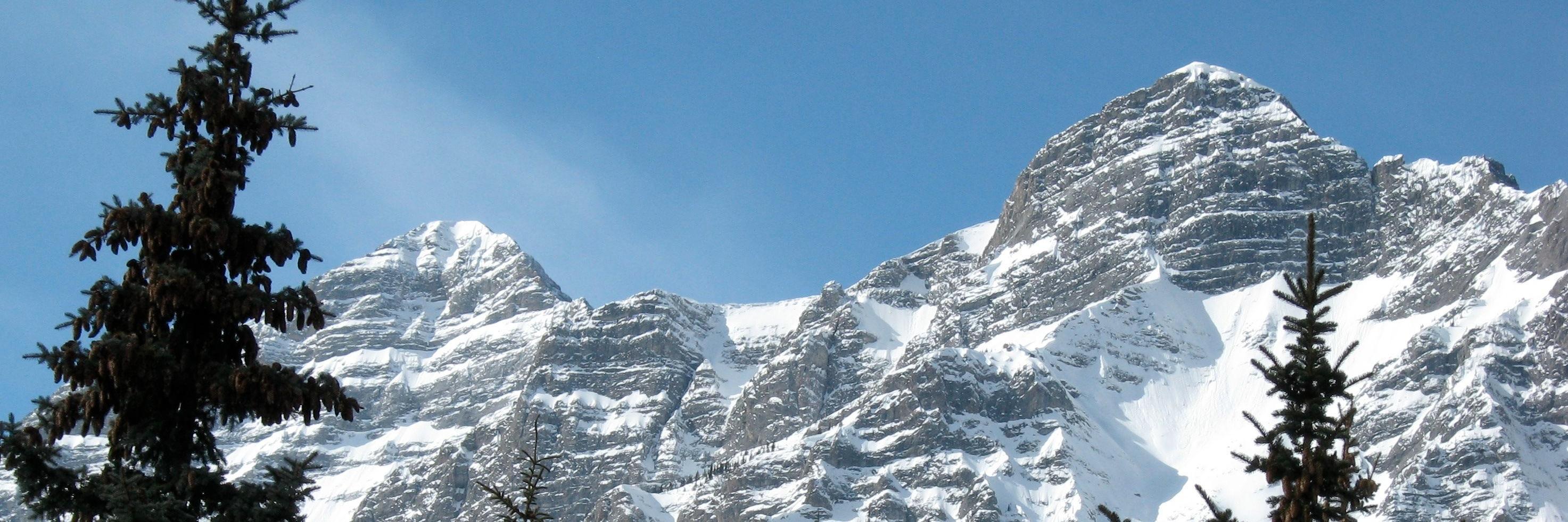 Carl Friesen banner