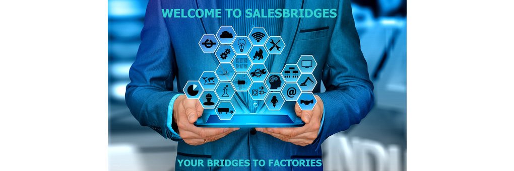 SalesBridgesBV's profile banner image