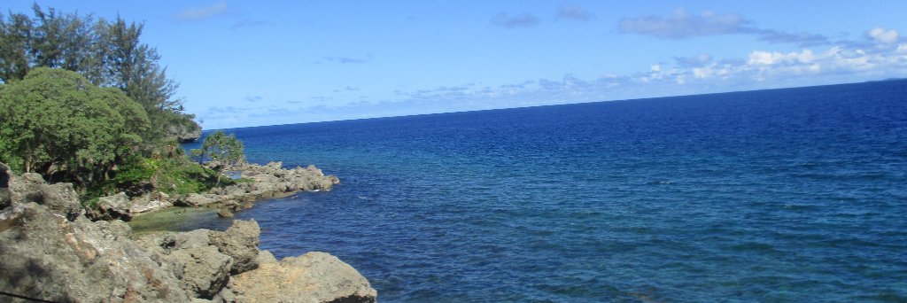 MurleyNancy's profile banner image