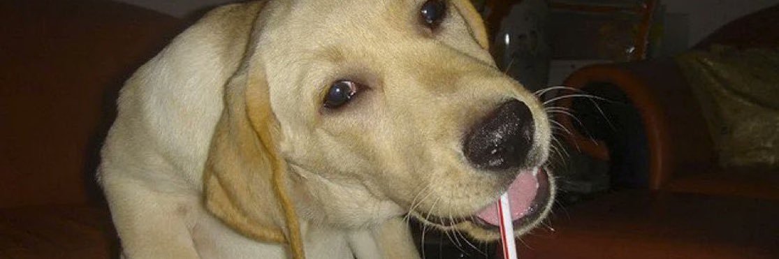Mrdude92's profile banner image