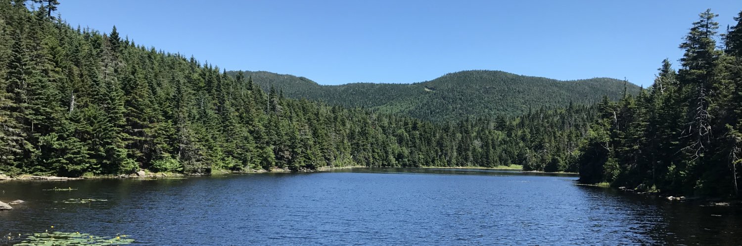 Brigitte Beaudoin banner