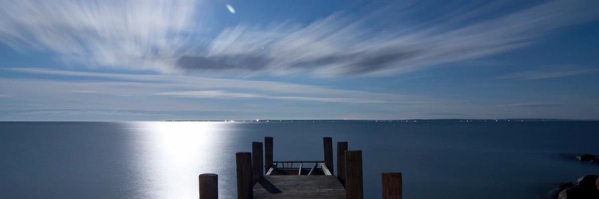sullymum2's profile banner image