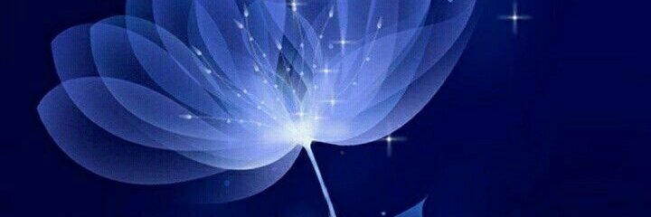 purple0506's profile banner image