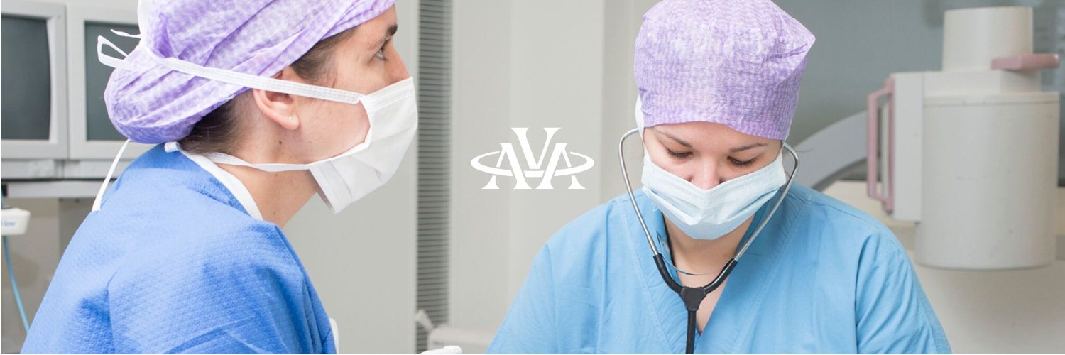 AVAVETS's profile banner image