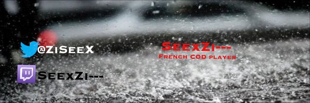 ZiSeex's profile banner image