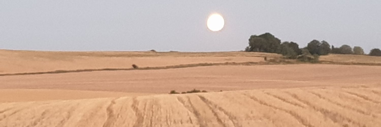 El_ashh's profile banner image