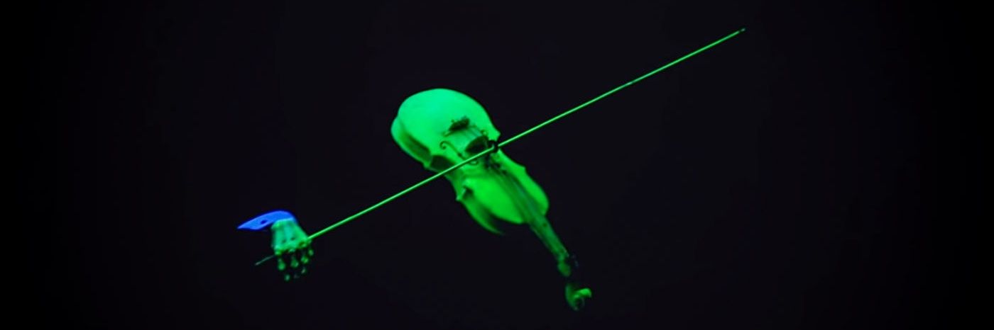 Raymond Falkenhage banner