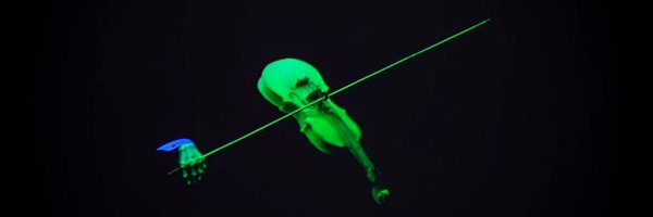 Falkenhage Profile Banner