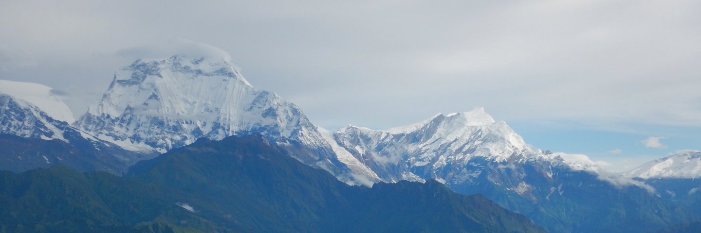 edith_schmid's profile banner image