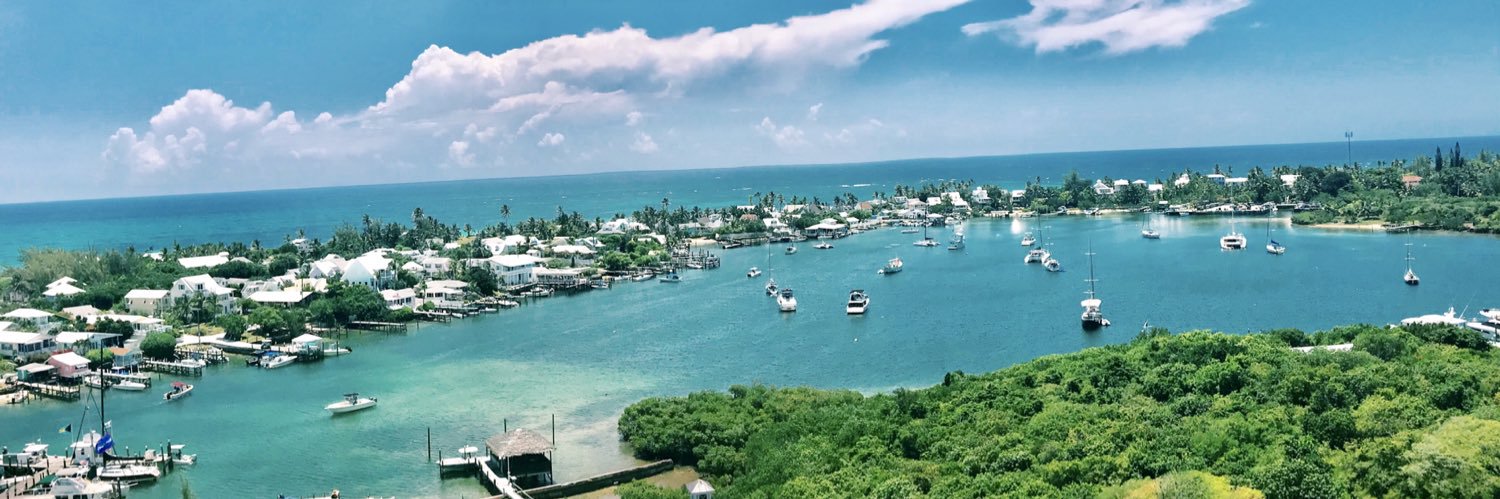 allie monserez banner