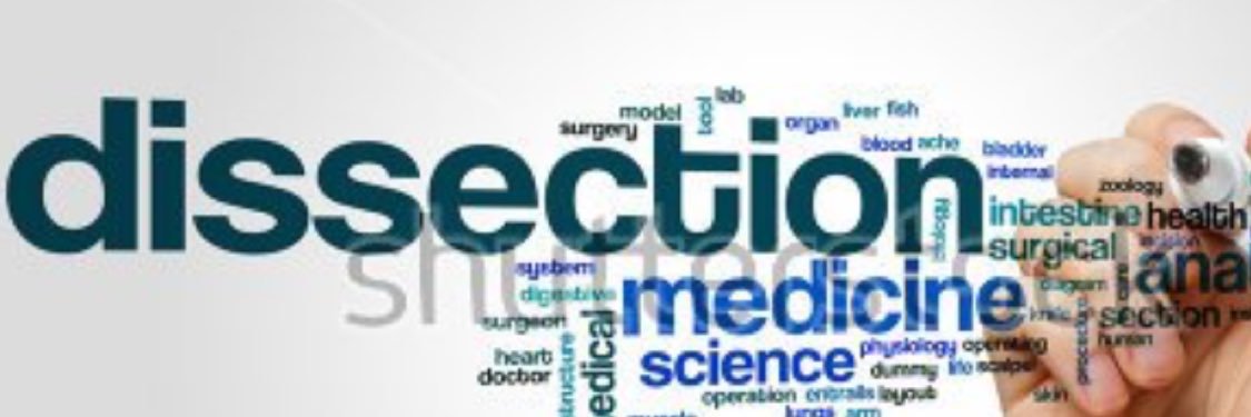 Aortic Dissection US banner